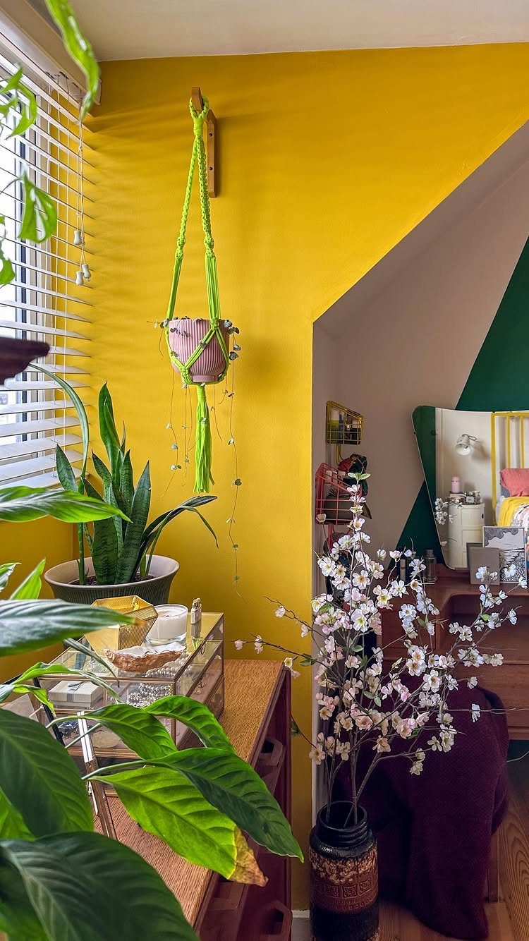 Bright yellow wall in a room with green houseplants and white flowers.