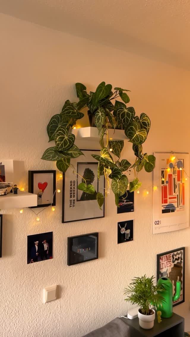 Wall decor with framed art, trailing plants, and warm string lights in a room.