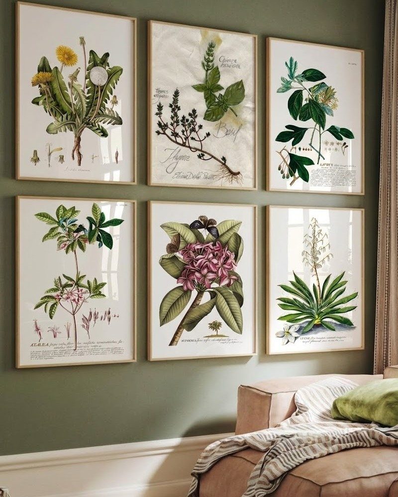 Six framed botanical prints of plants and flowers on a sage green wall.