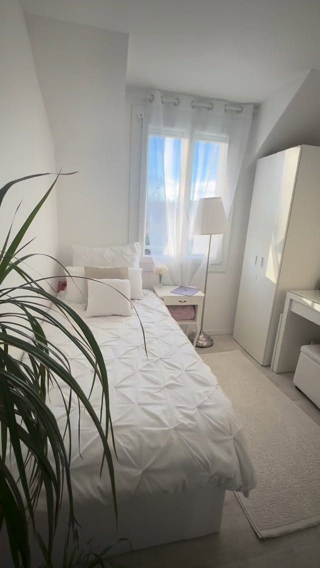 Small white bedroom with a single bed, white wardrobe, and a green plant.