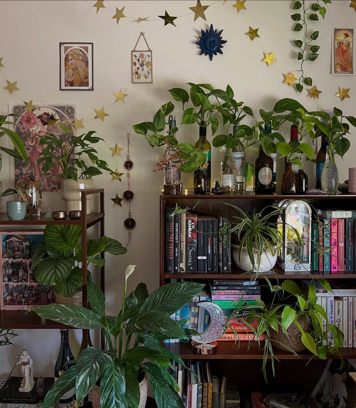 Green indoor plants on wooden shelves against a wall with gold star decorations.