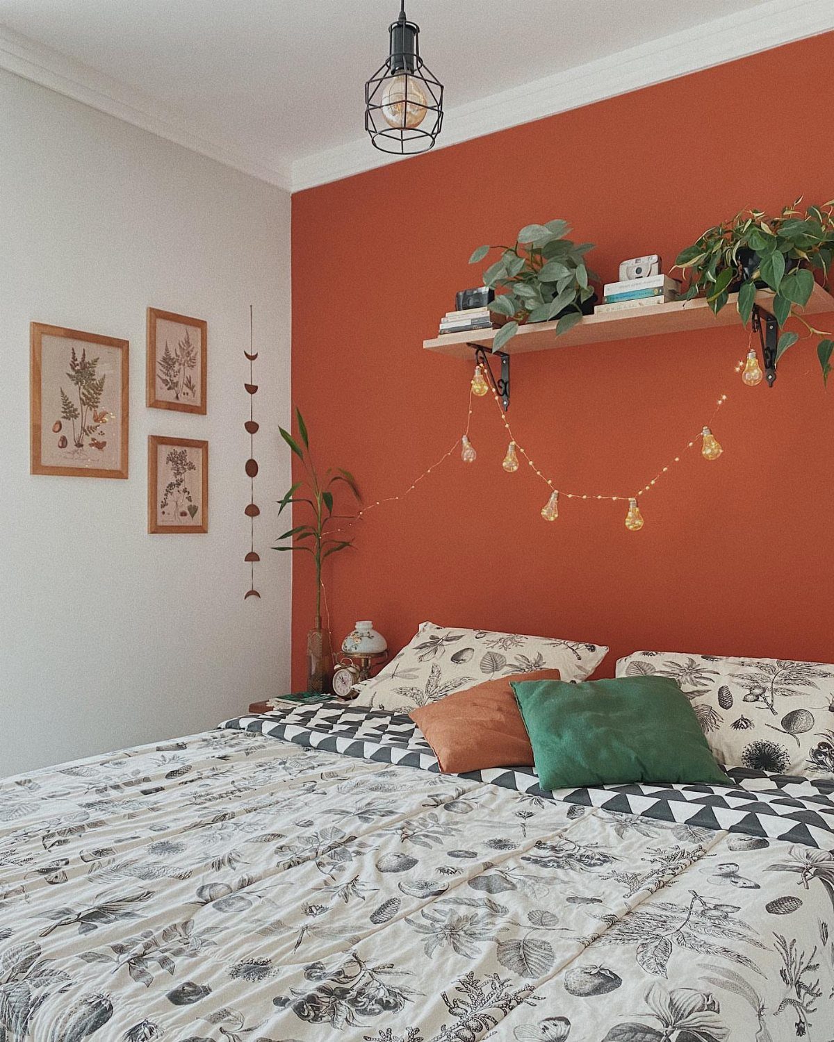 Terracotta accent wall in a bedroom with botanical bedding and hanging plants.